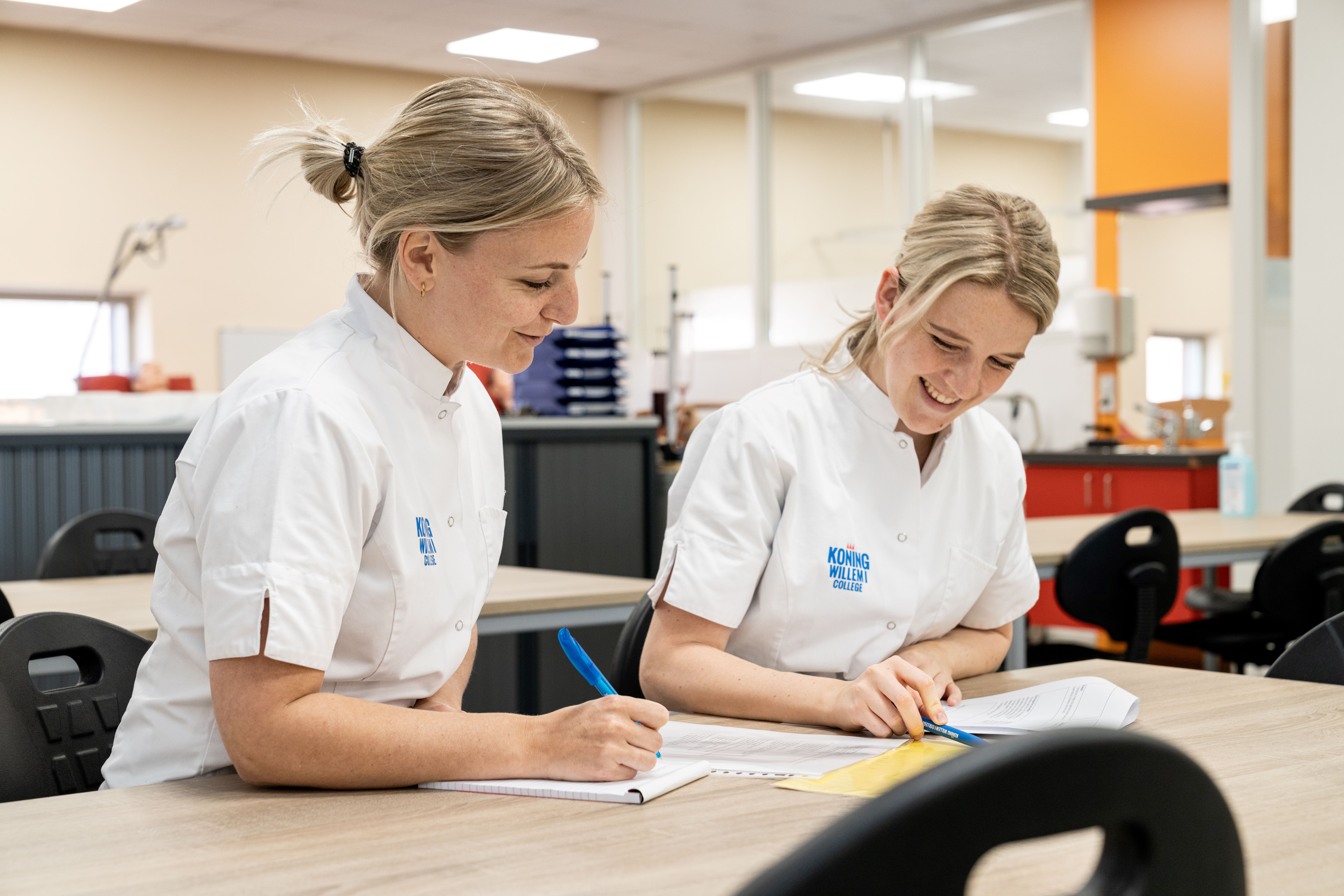 Voorbereiding BIG Examen